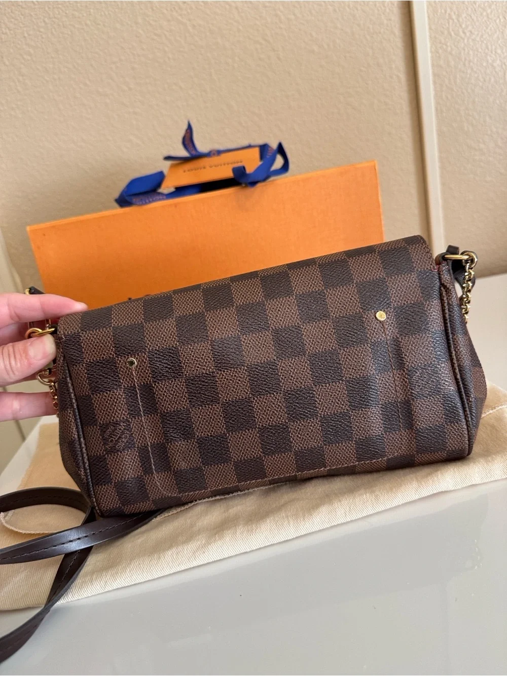 Louis Vuitton Favorite PM Bag
